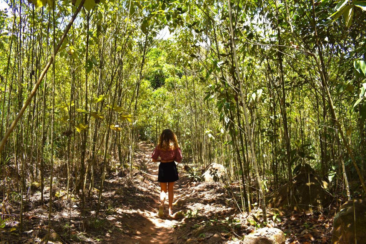 Bosque Guardian Lodge Tarapoto Buitenkant foto