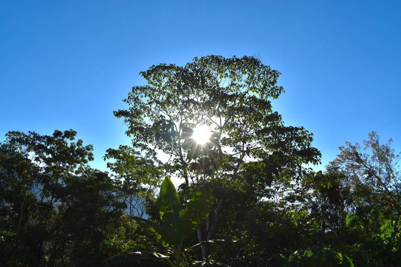Bosque Guardian Lodge Tarapoto Buitenkant foto