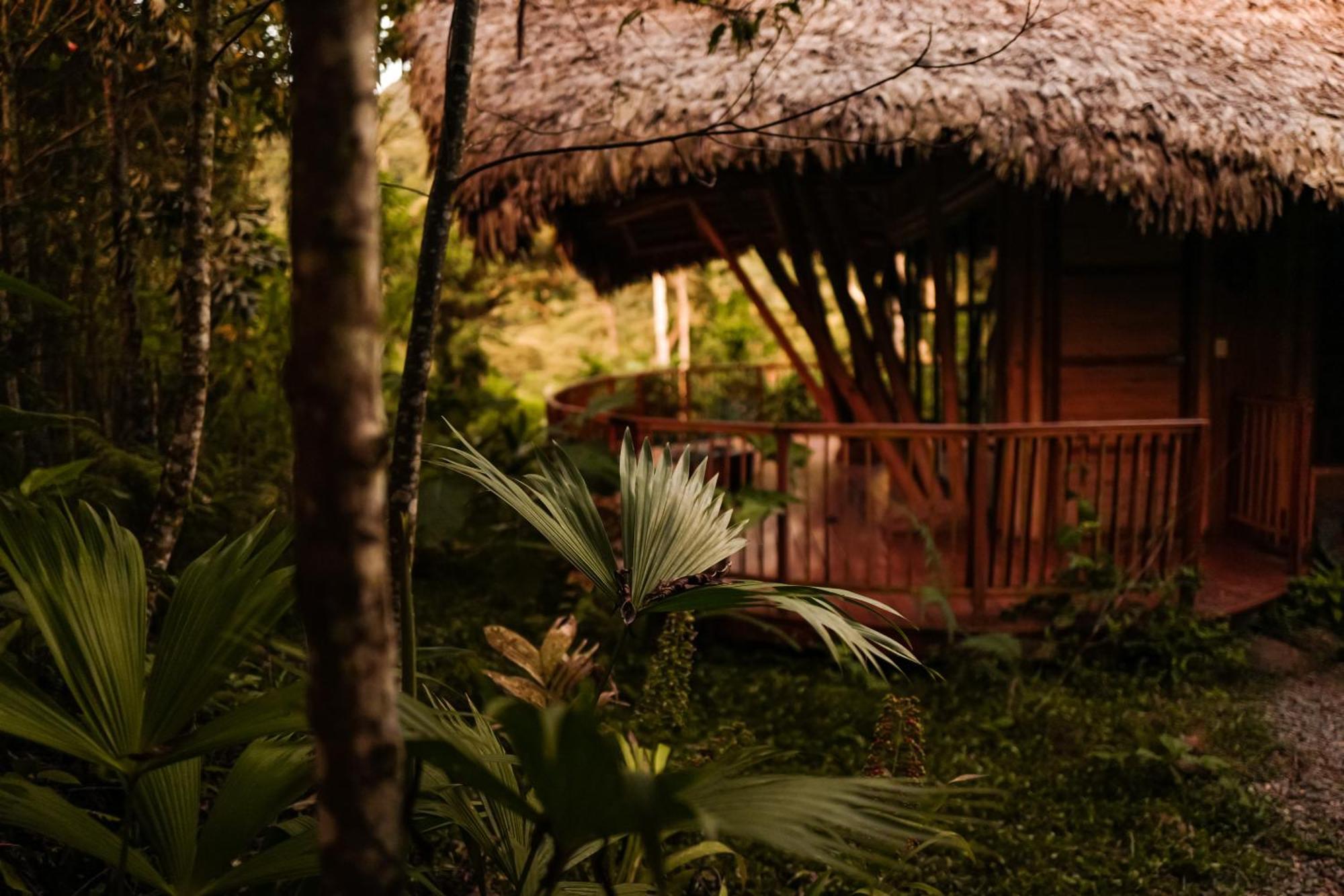 Bosque Guardian Lodge Tarapoto Buitenkant foto