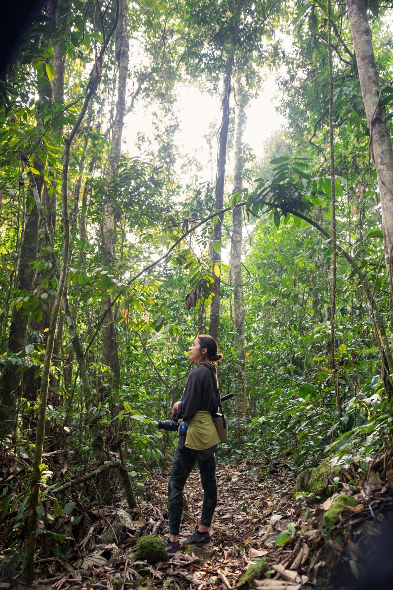 Bosque Guardian Lodge Tarapoto Buitenkant foto