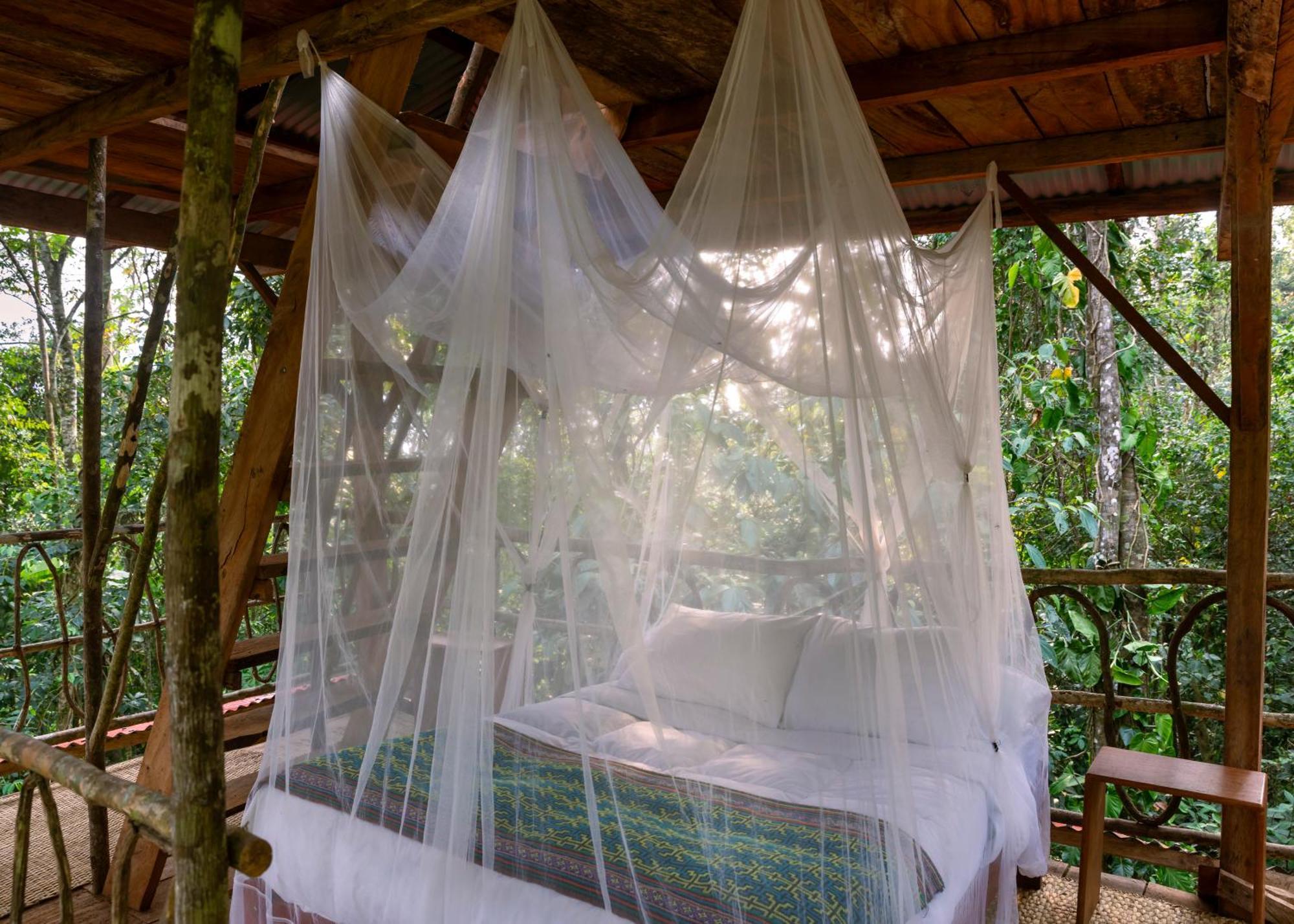 Bosque Guardian Lodge Tarapoto Buitenkant foto