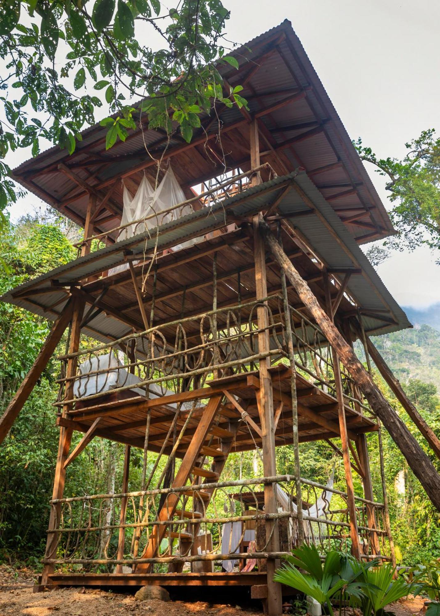 Bosque Guardian Lodge Tarapoto Buitenkant foto
