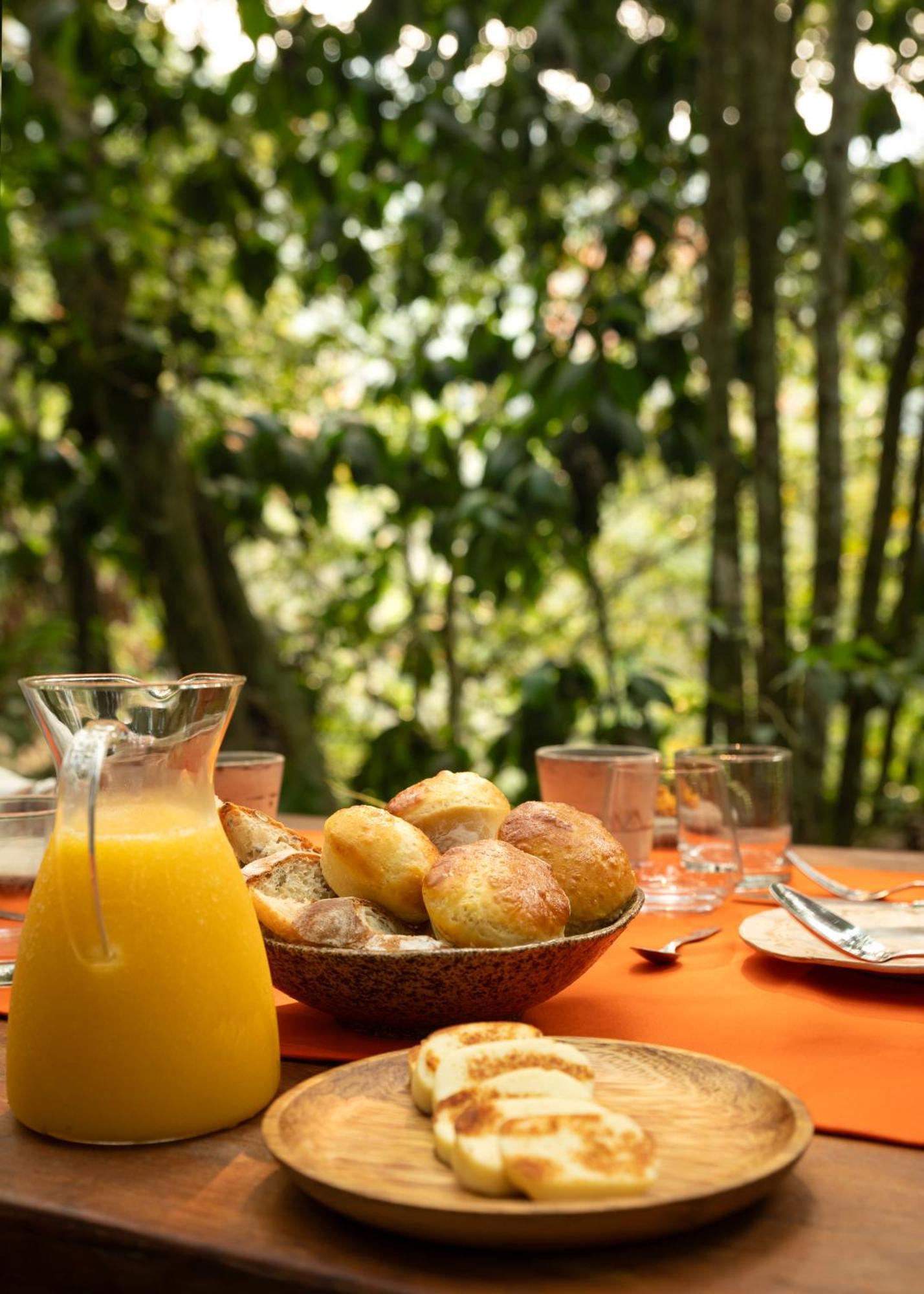 Bosque Guardian Lodge Tarapoto Buitenkant foto