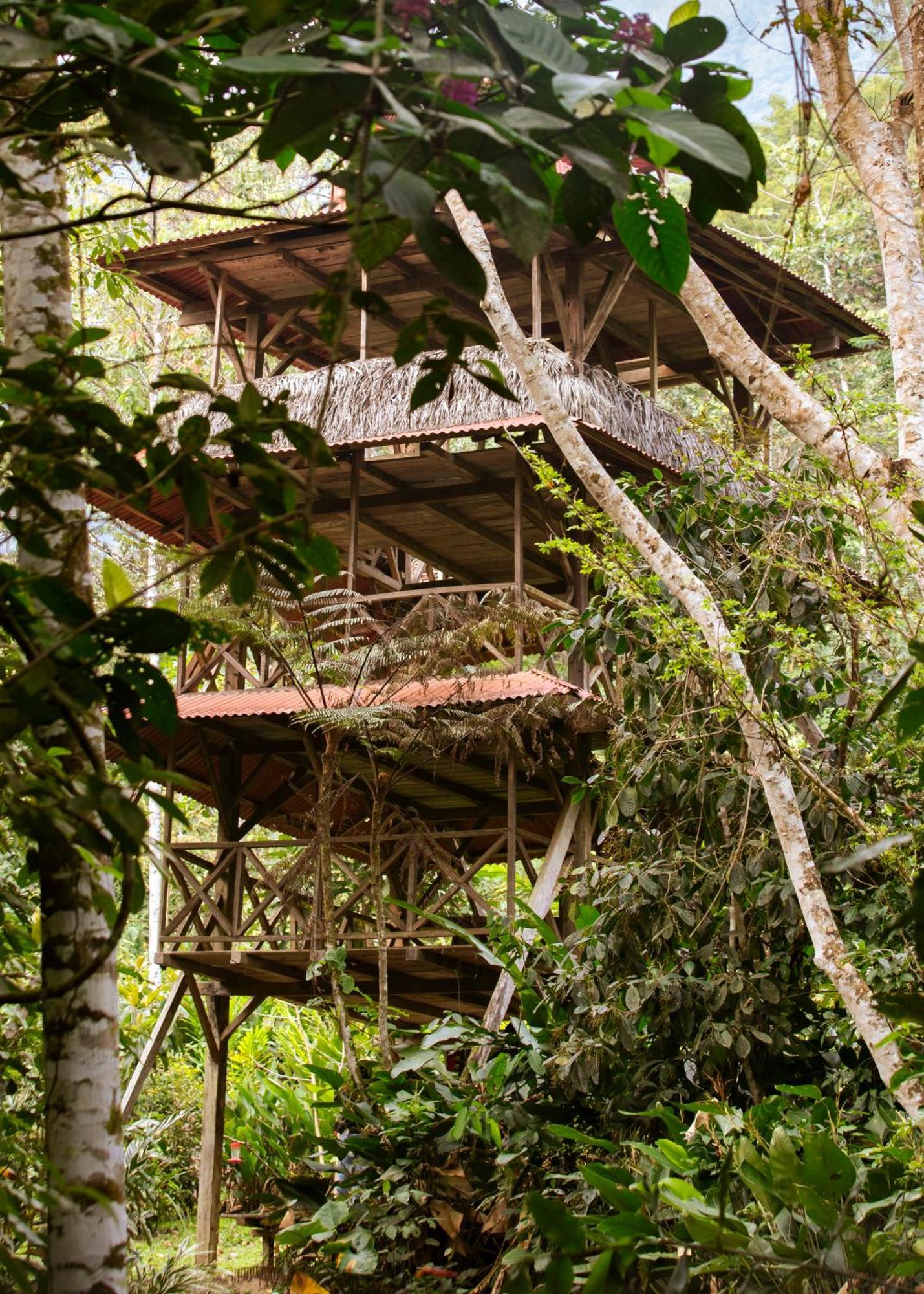 Bosque Guardian Lodge Tarapoto Buitenkant foto